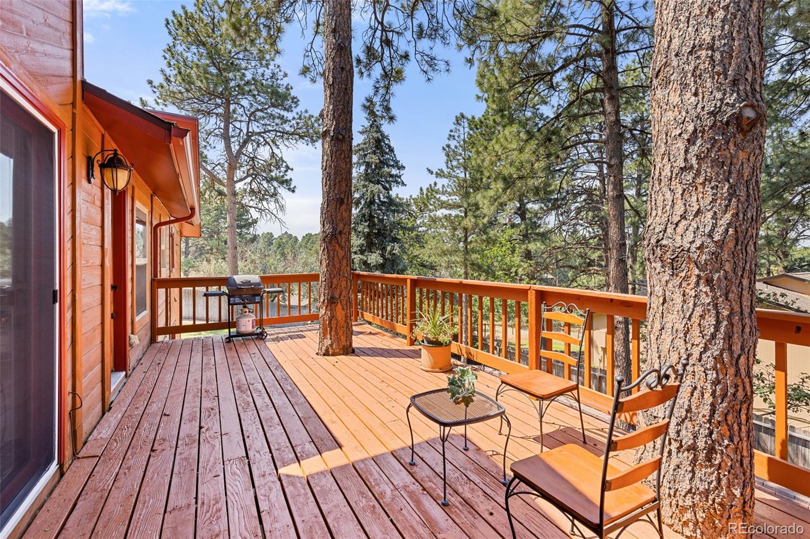 MLS Image #39 for 9434  mcshane court,parker, Colorado