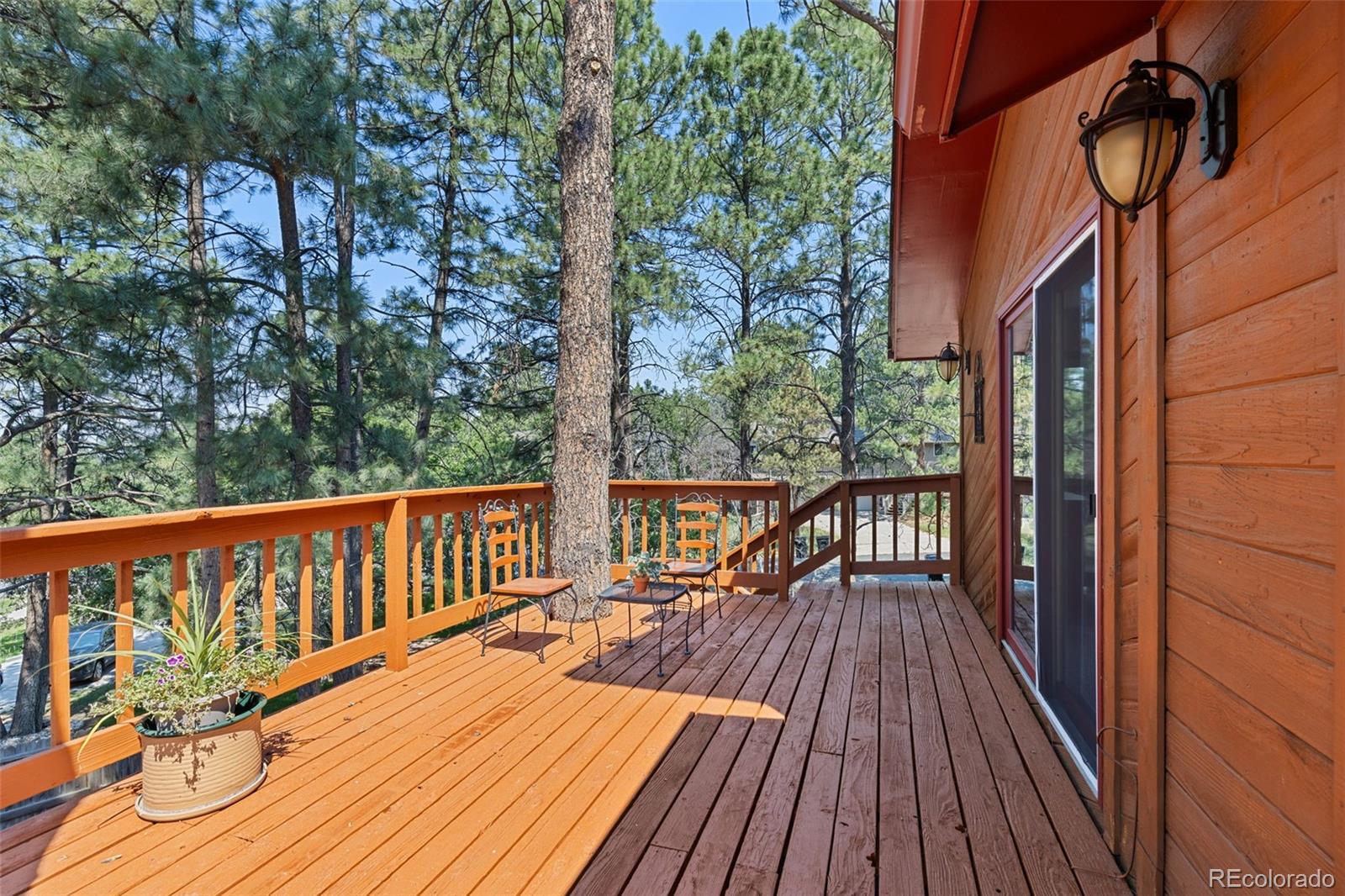 MLS Image #40 for 9434  mcshane court,parker, Colorado