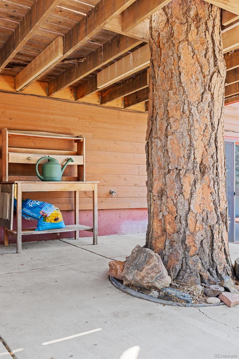 MLS Image #43 for 9434  mcshane court,parker, Colorado