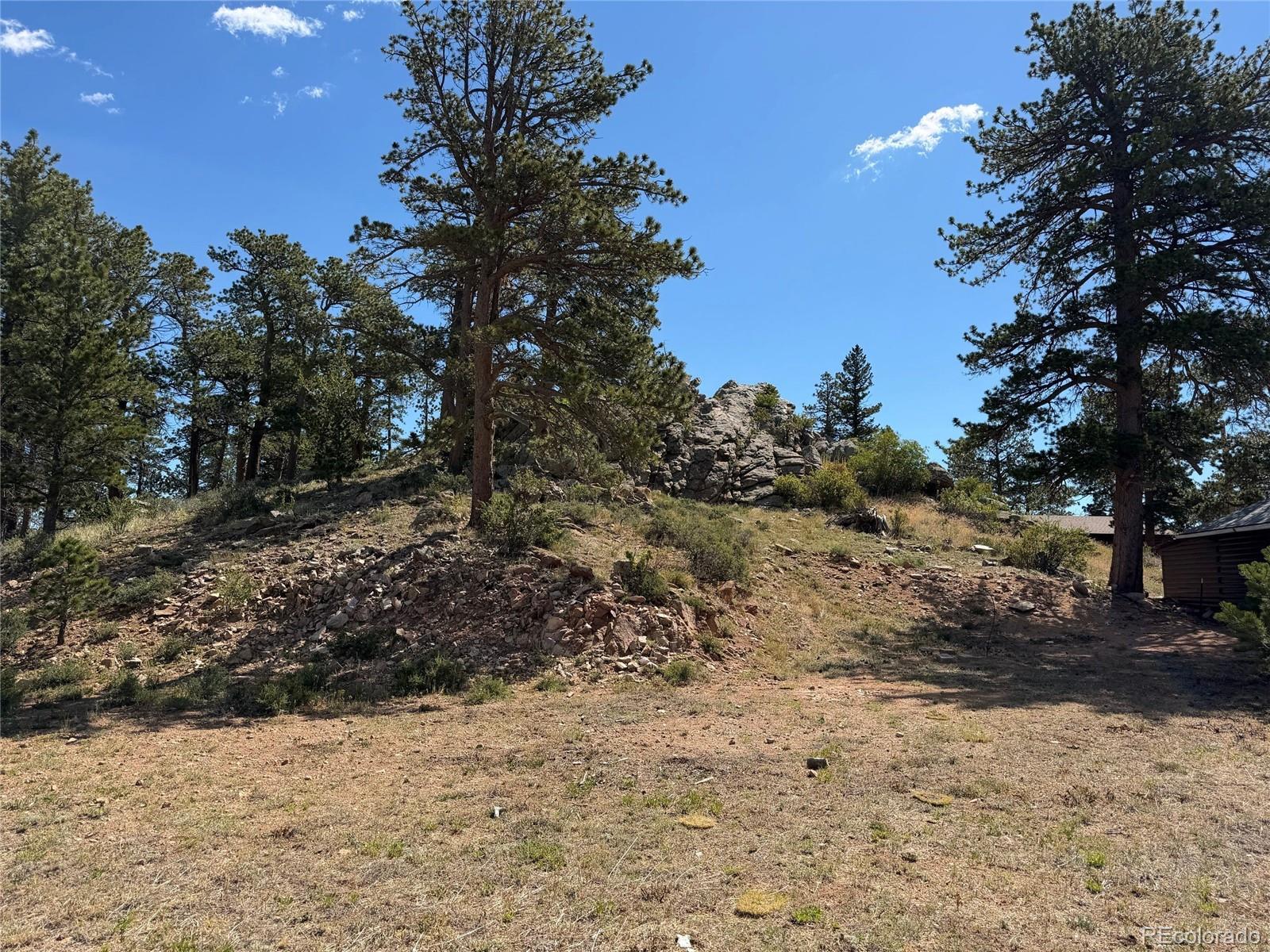 MLS Image #4 for 168  main street,red feather lakes, Colorado