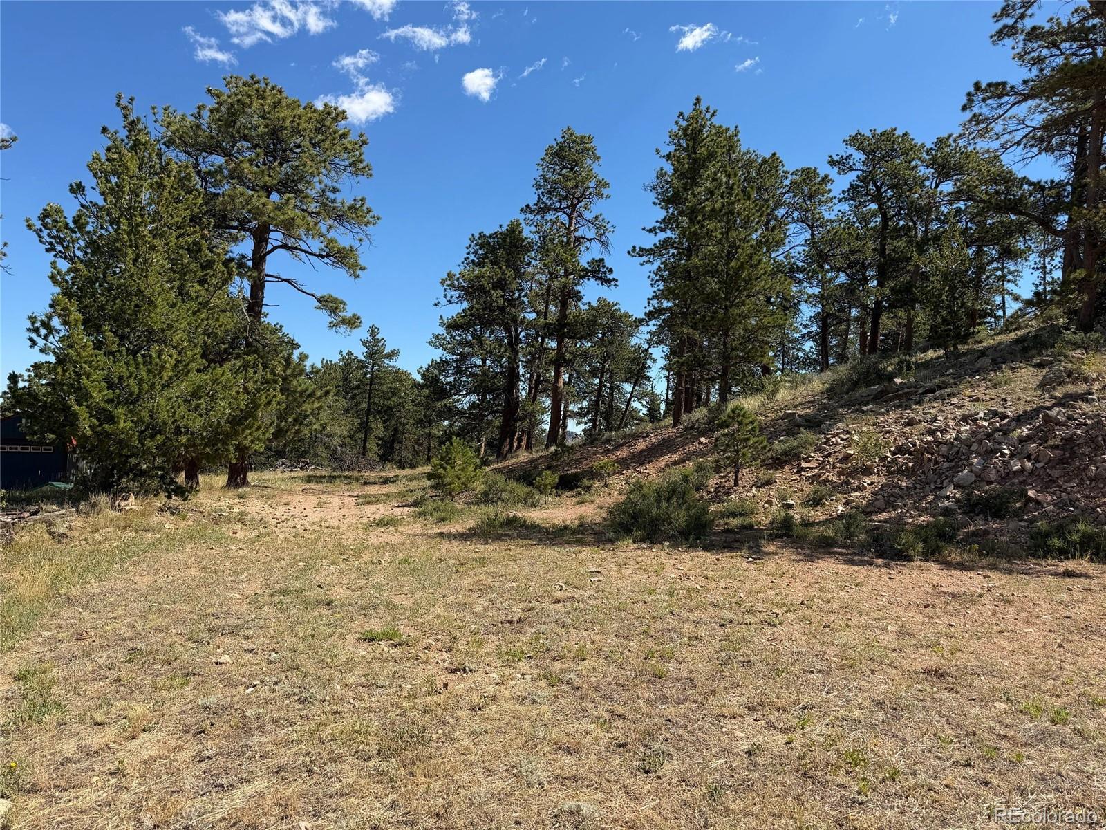 MLS Image #5 for 168  main street,red feather lakes, Colorado