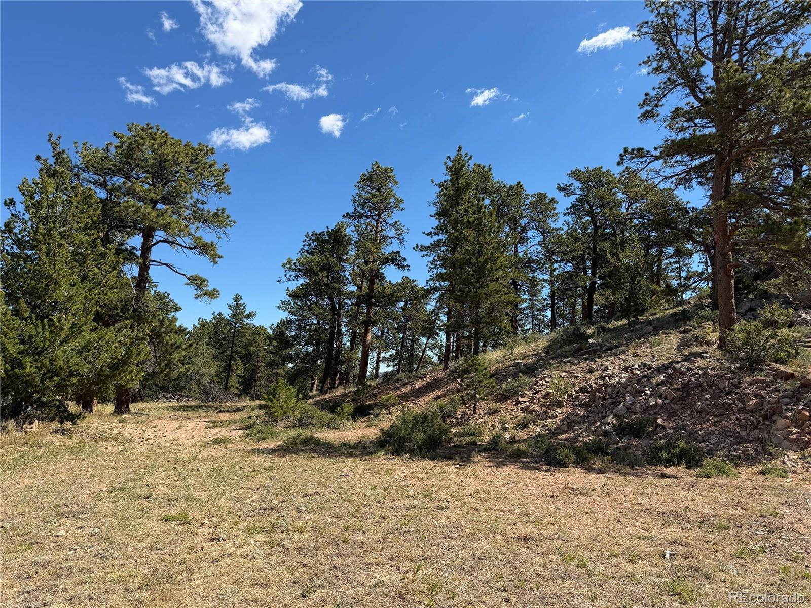 MLS Image #6 for 168  main street,red feather lakes, Colorado