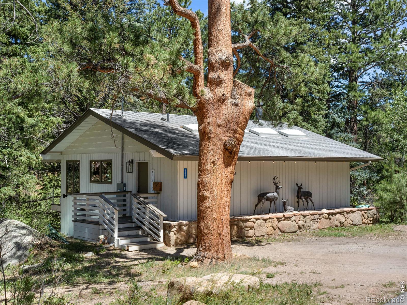 MLS Image #1 for 330  fall river lane,estes park, Colorado