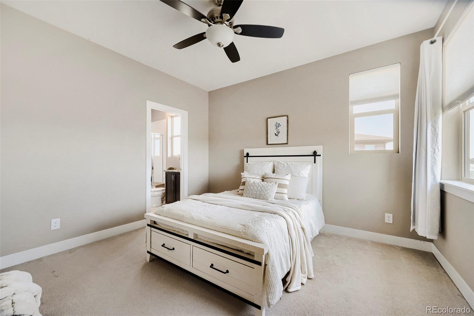 MLS Image #21 for 2510  bluestem willow drive,loveland, Colorado