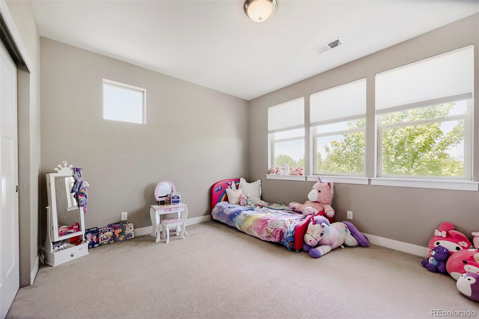 MLS Image #25 for 2510  bluestem willow drive,loveland, Colorado