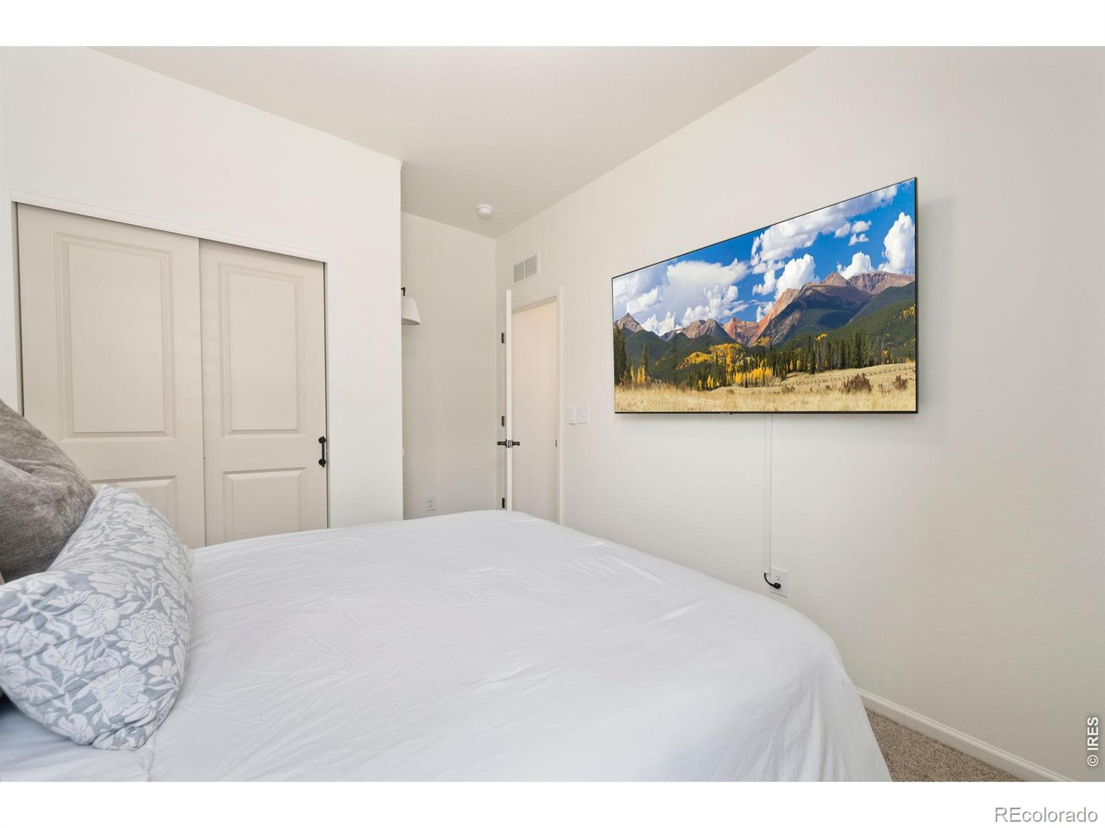 MLS Image #26 for 3440  switchgrass street,dacono, Colorado