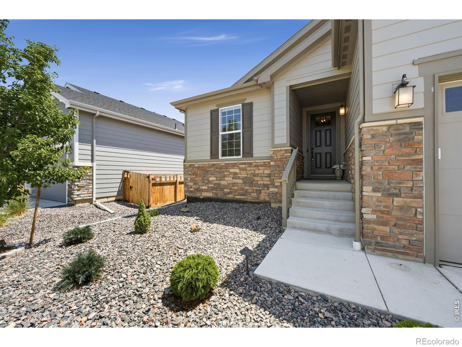 MLS Image #3 for 3440  switchgrass street,dacono, Colorado