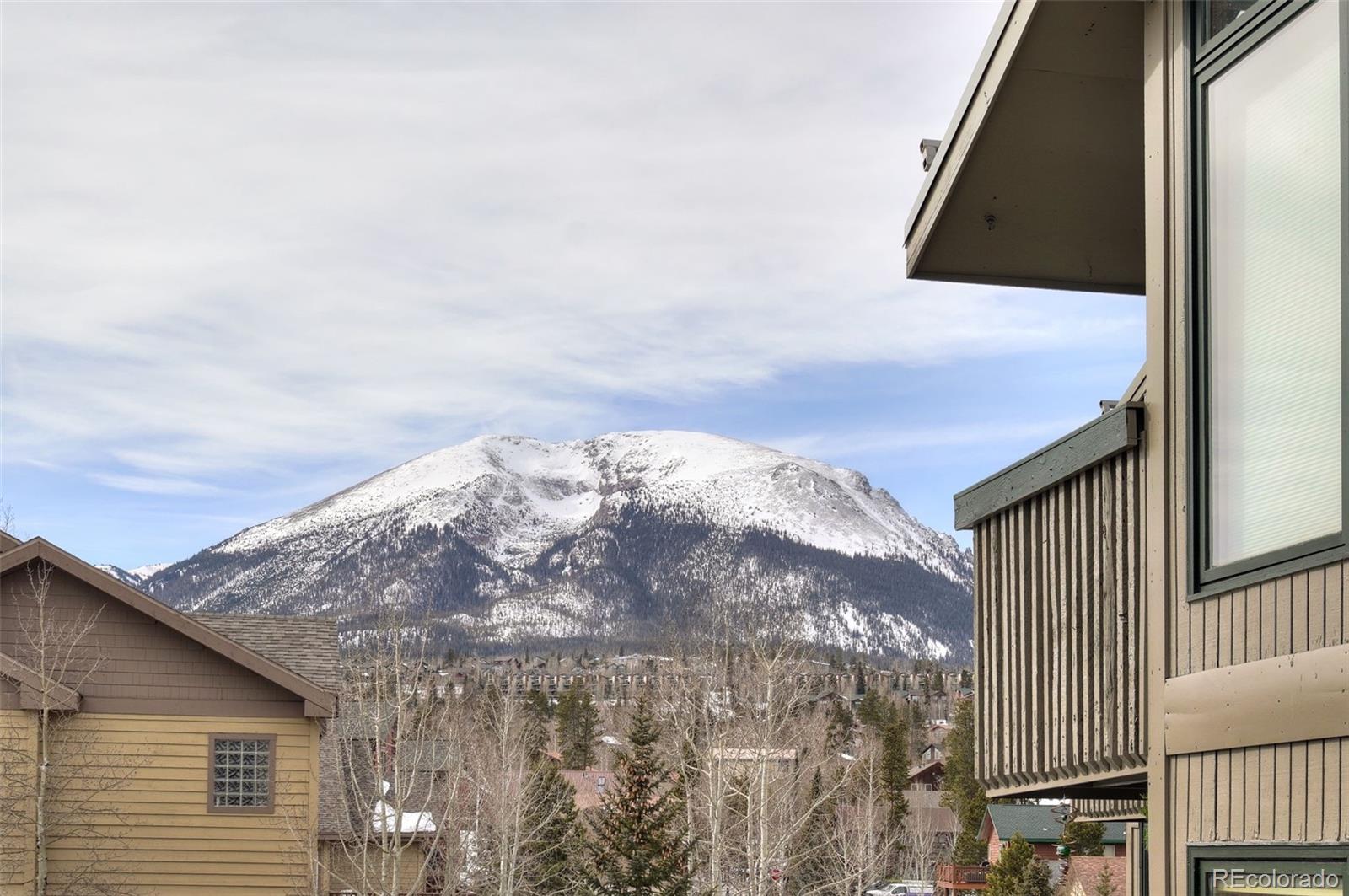 MLS Image #1 for 3710  ryan gulch road,silverthorne, Colorado