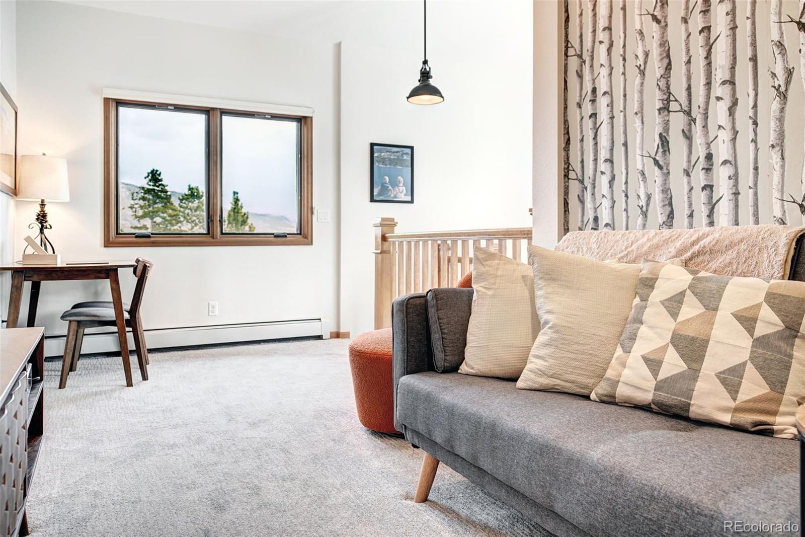 MLS Image #14 for 3710  ryan gulch road,silverthorne, Colorado