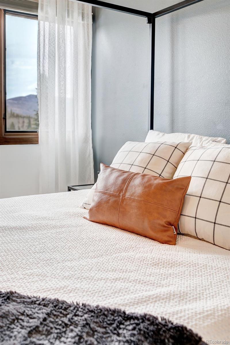MLS Image #20 for 3710  ryan gulch road,silverthorne, Colorado