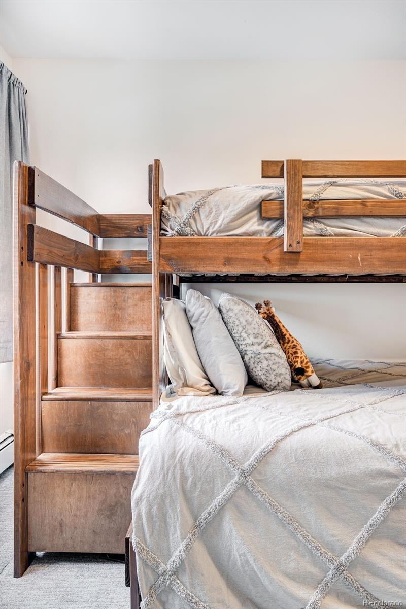MLS Image #26 for 3710  ryan gulch road,silverthorne, Colorado