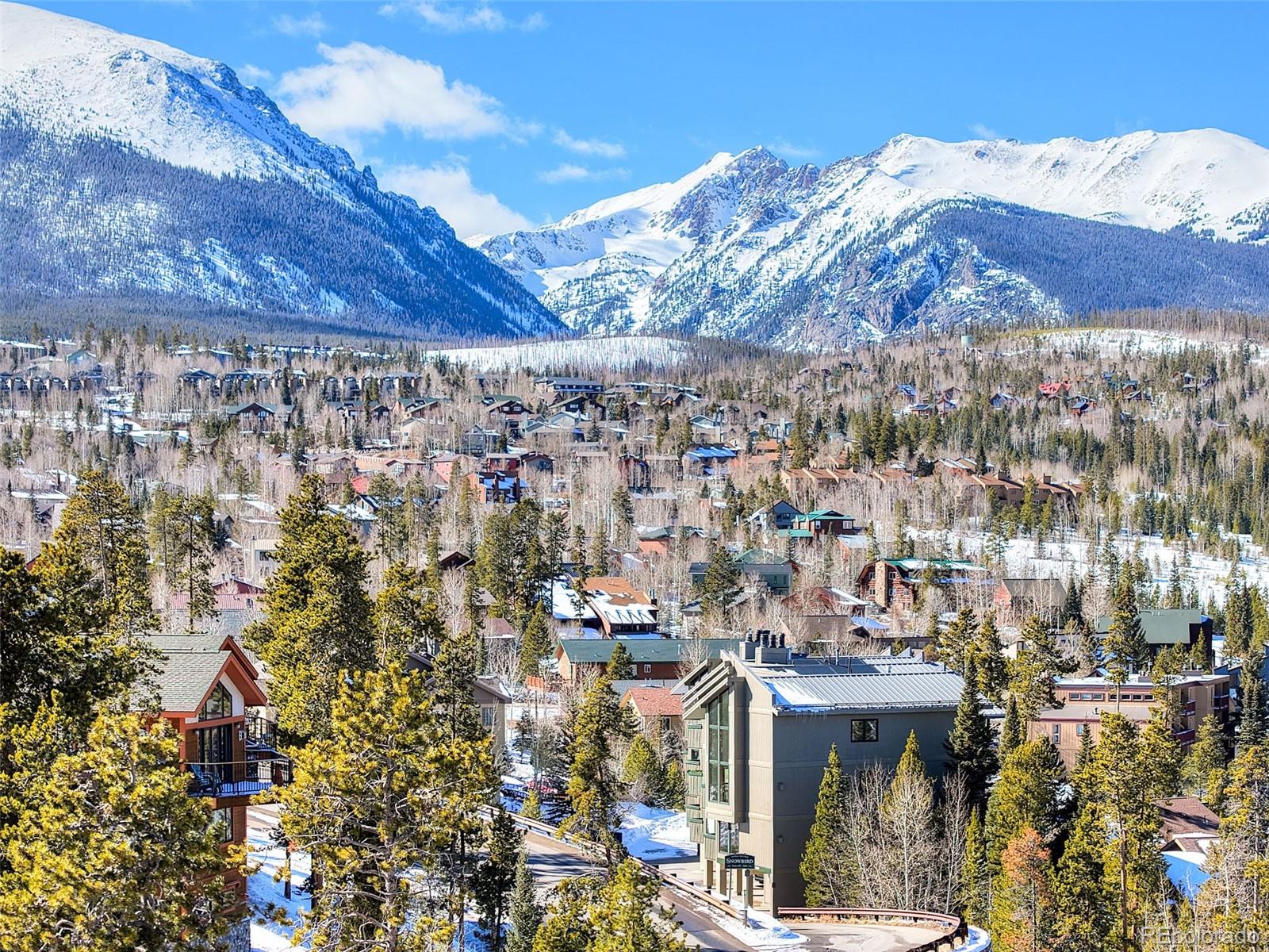 MLS Image #36 for 3710  ryan gulch road,silverthorne, Colorado