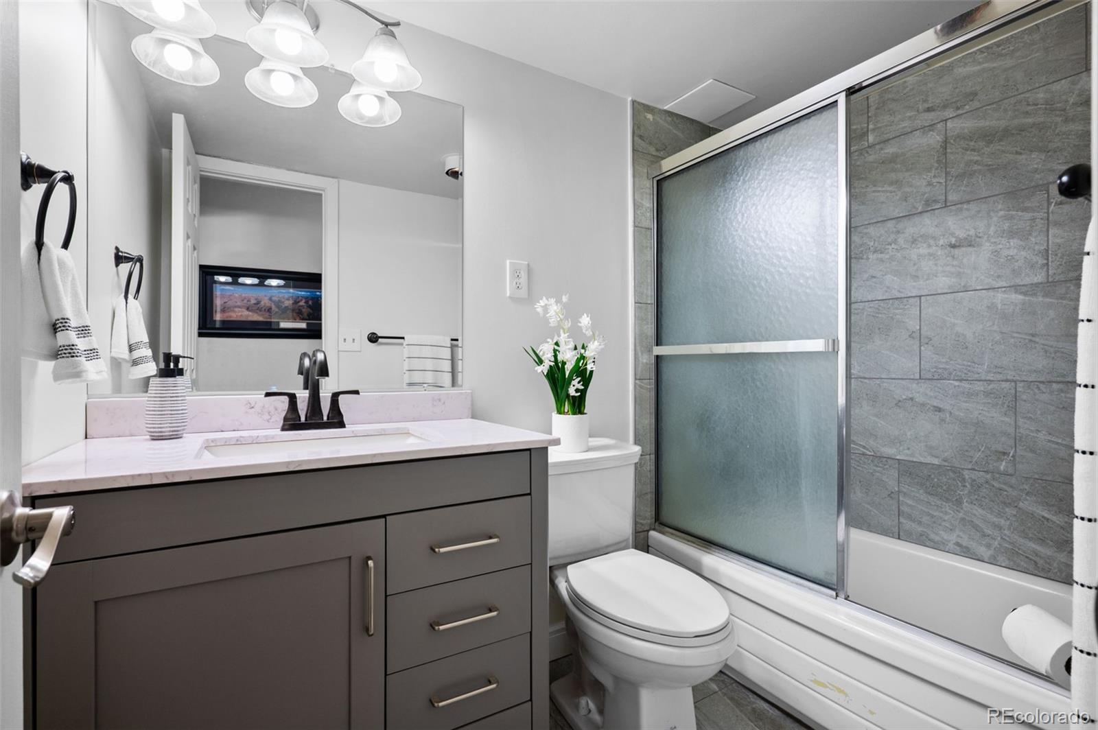 MLS Image #12 for 1121  albion street,denver, Colorado