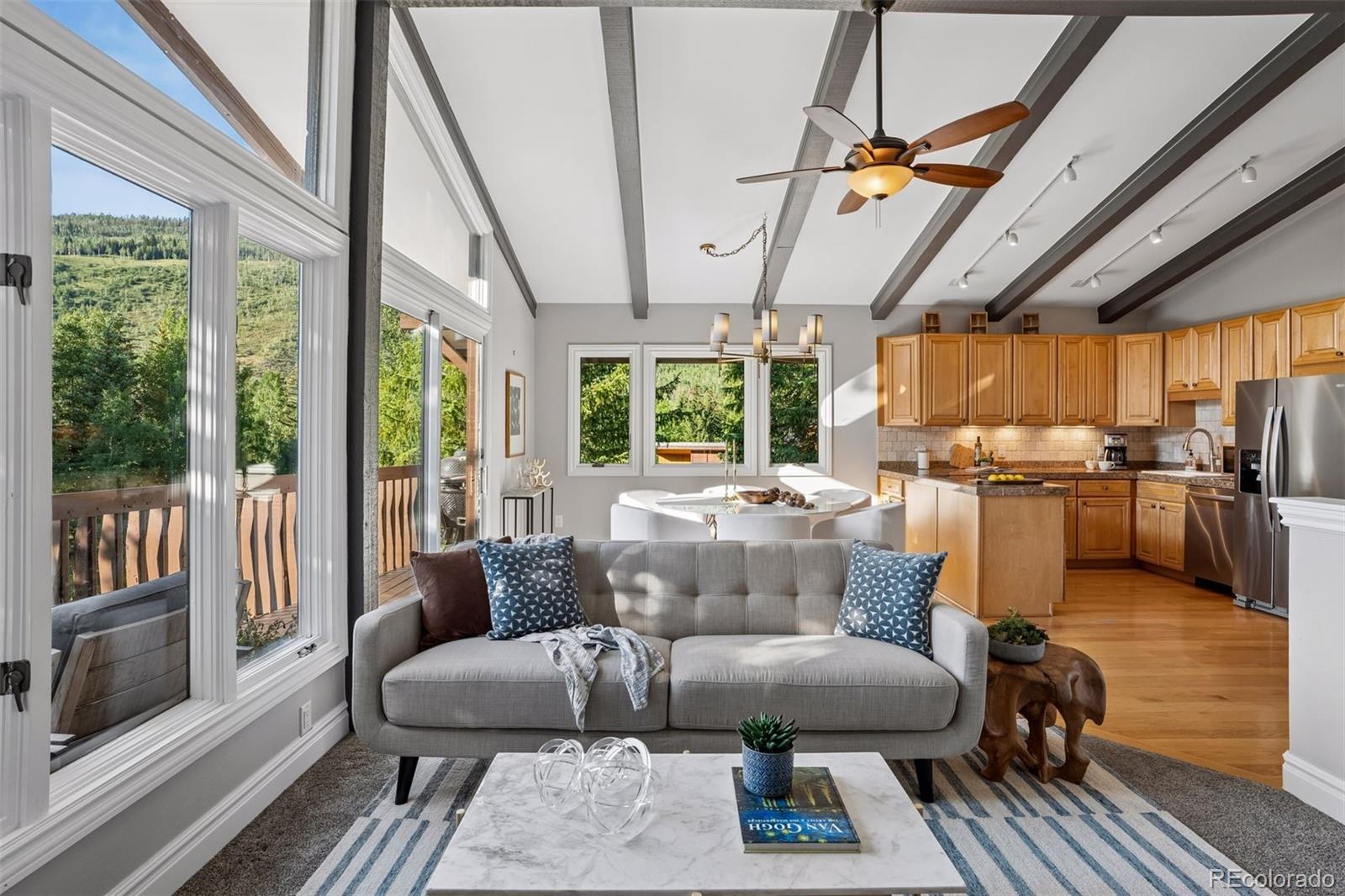 MLS Image #10 for 5064  black gore drive,vail, Colorado