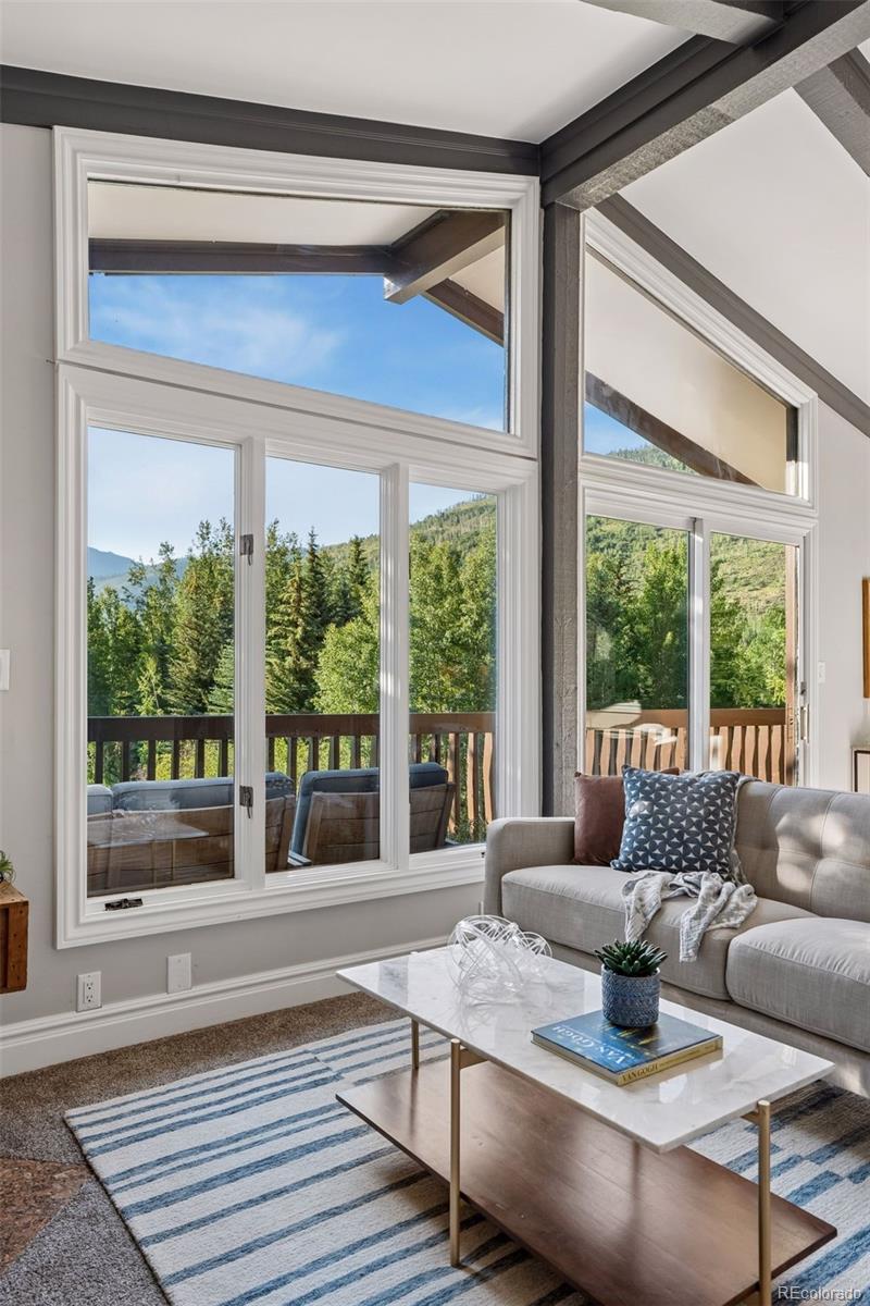MLS Image #11 for 5064  black gore drive,vail, Colorado