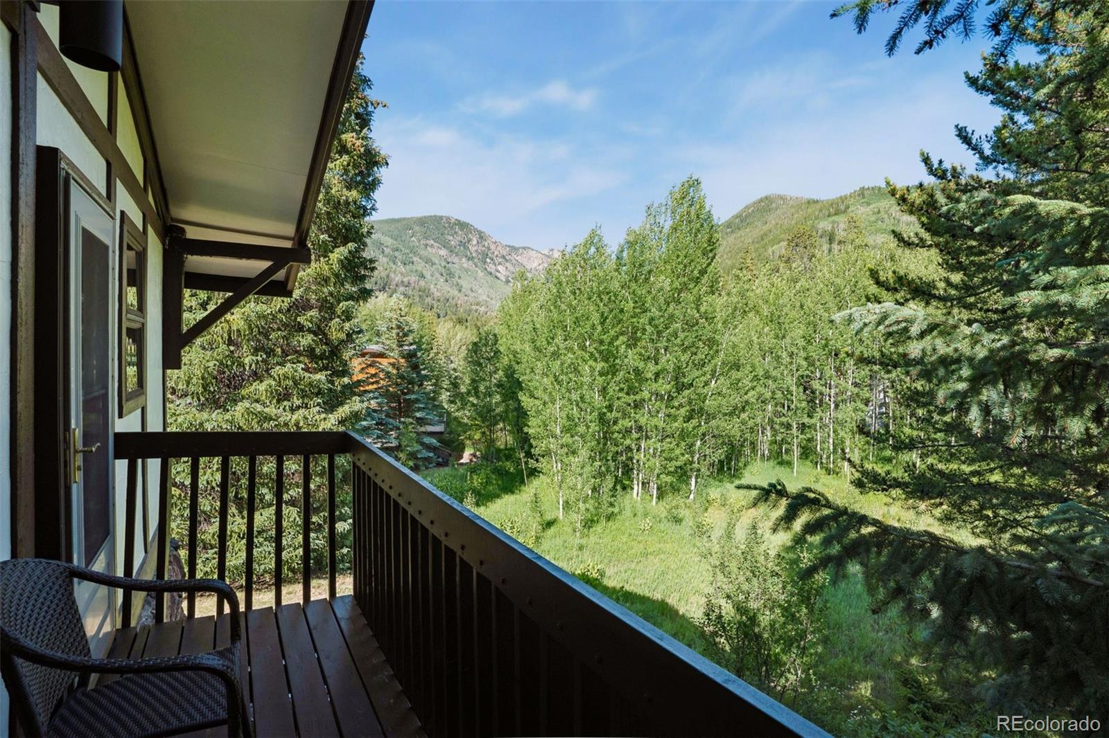MLS Image #28 for 5064  black gore drive,vail, Colorado