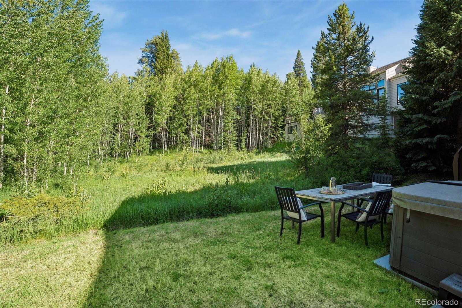 MLS Image #40 for 5064  black gore drive,vail, Colorado