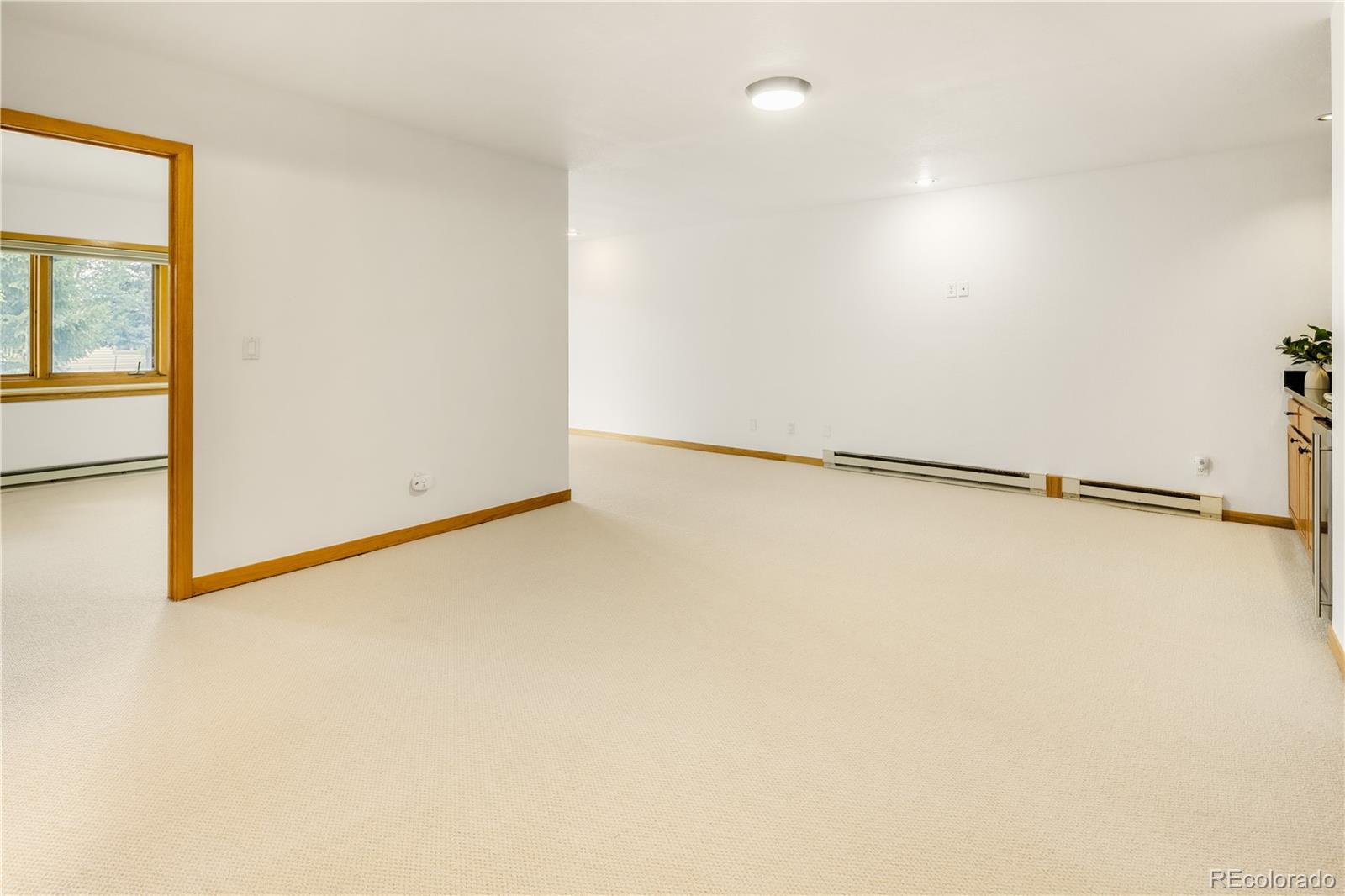 MLS Image #29 for 454  ensign drive,dillon, Colorado