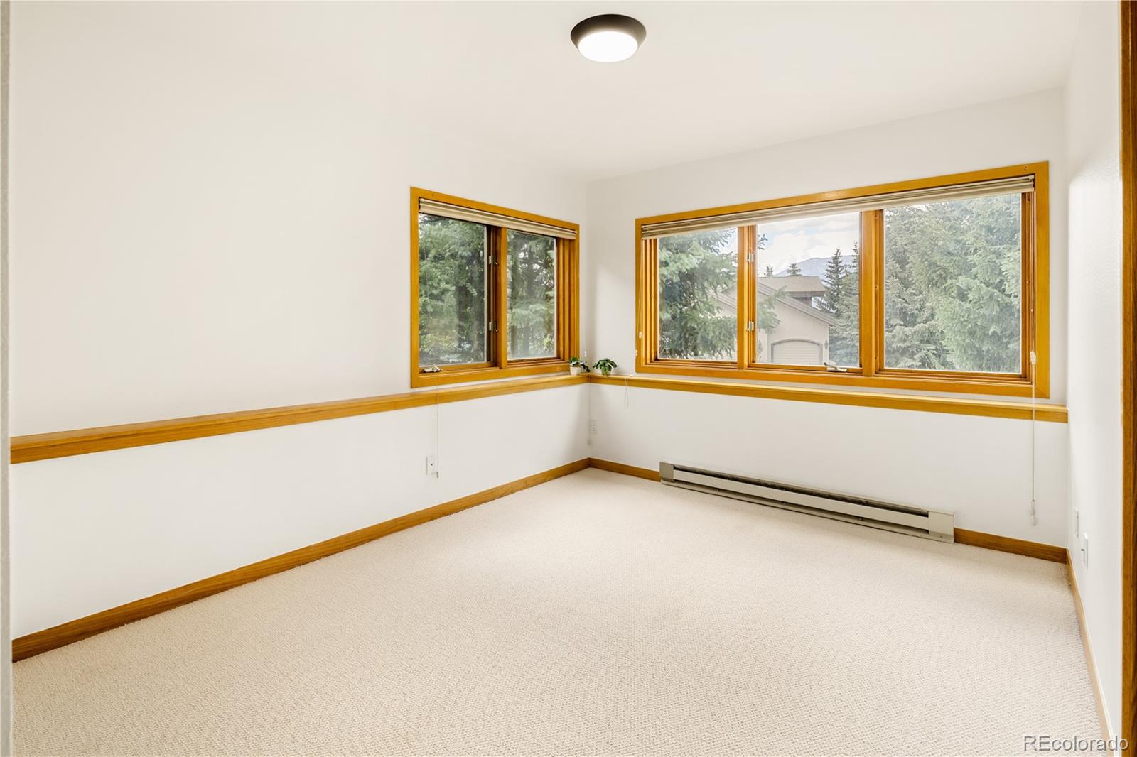 MLS Image #34 for 454  ensign drive,dillon, Colorado