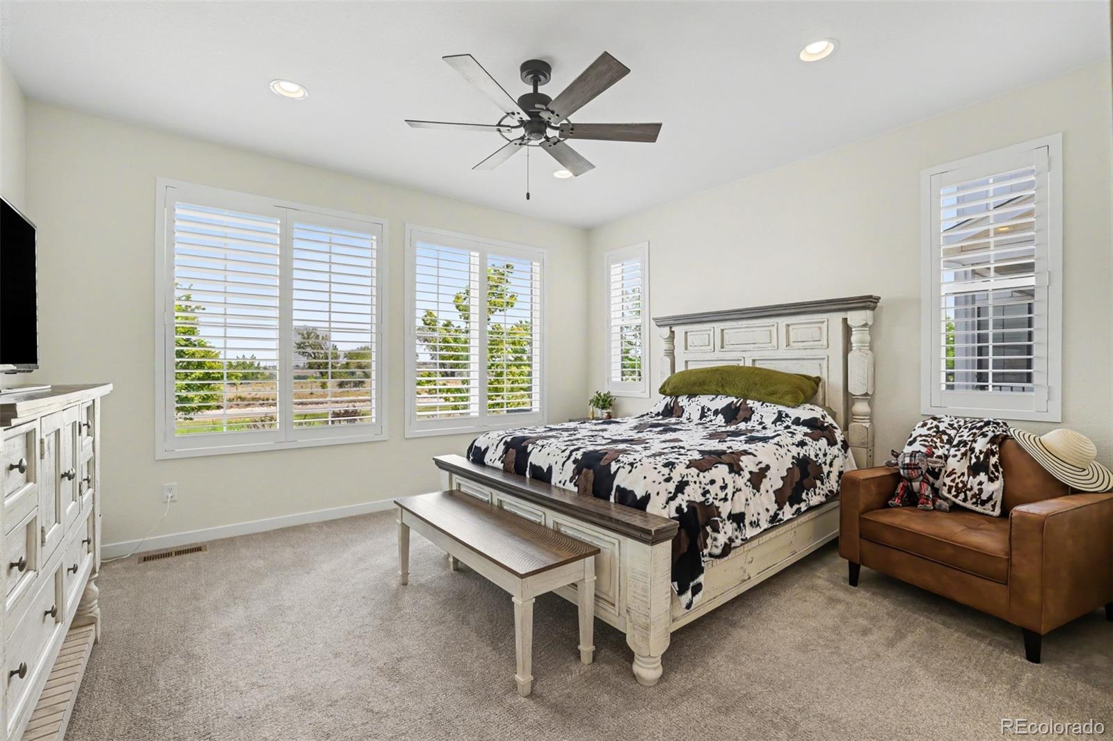 MLS Image #11 for 8765  moonshimmer trail,littleton, Colorado