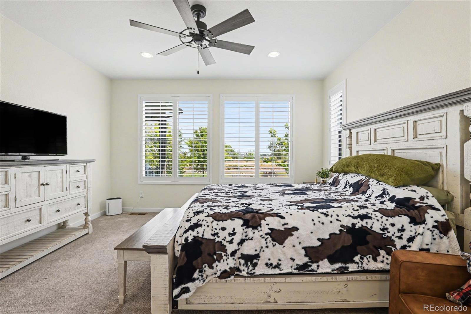 MLS Image #12 for 8765  moonshimmer trail,littleton, Colorado