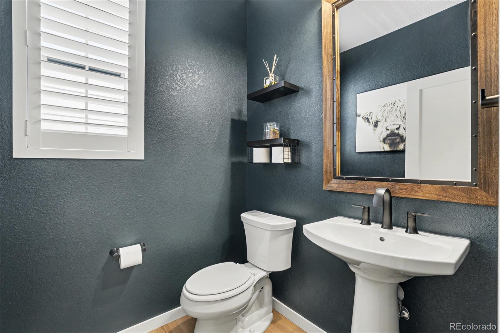 MLS Image #15 for 8765  moonshimmer trail,littleton, Colorado