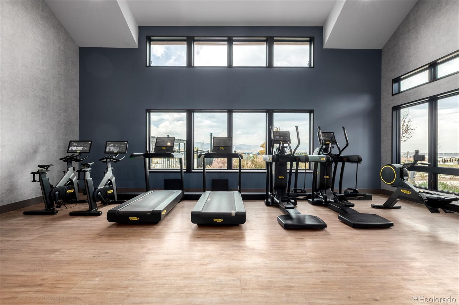 MLS Image #39 for 8765  moonshimmer trail,littleton, Colorado