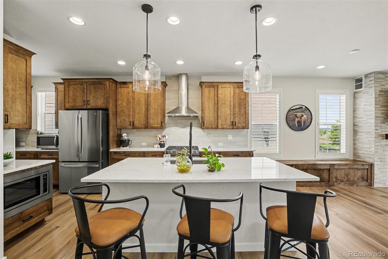 MLS Image #8 for 8765  moonshimmer trail,littleton, Colorado