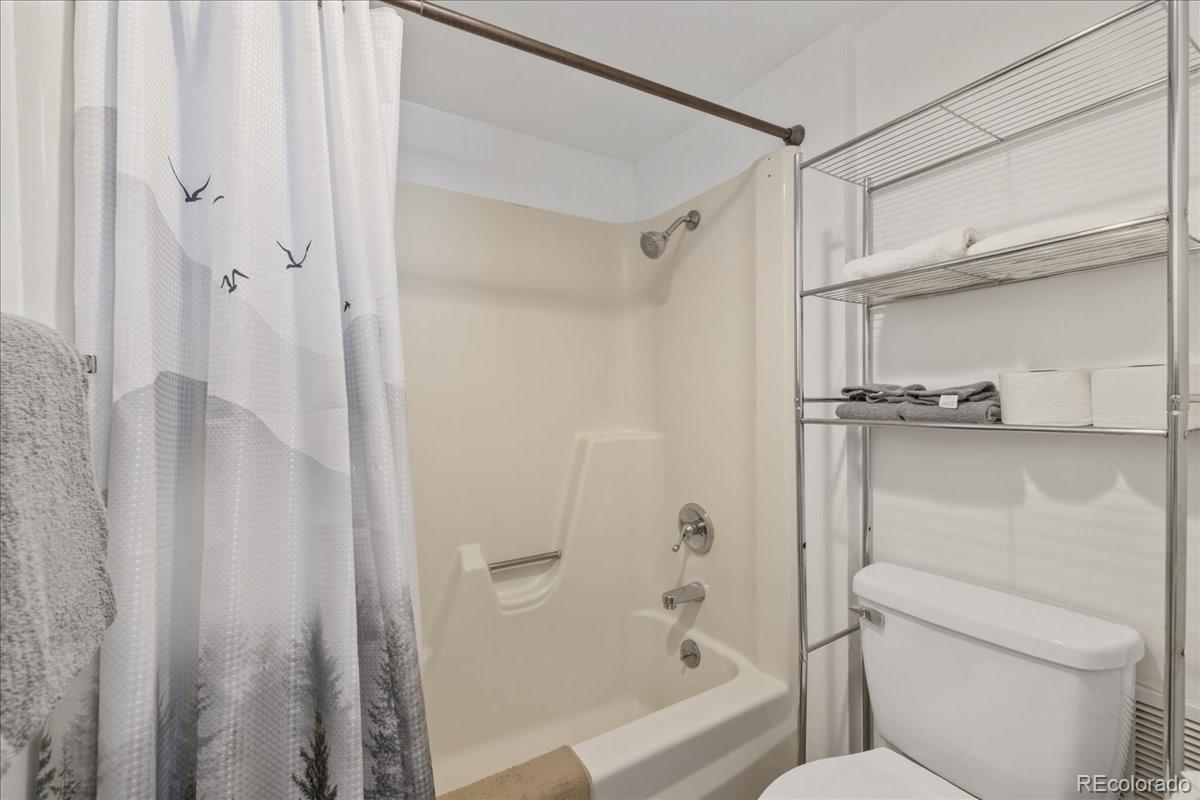 MLS Image #13 for 220 e la bonte street,dillon, Colorado