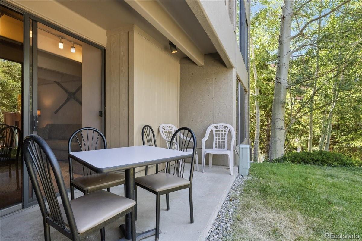 MLS Image #15 for 220 e la bonte street,dillon, Colorado