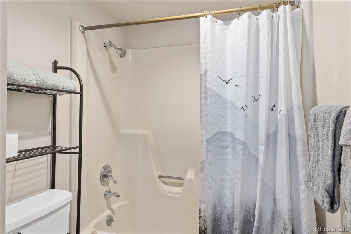 MLS Image #18 for 220 e la bonte street,dillon, Colorado