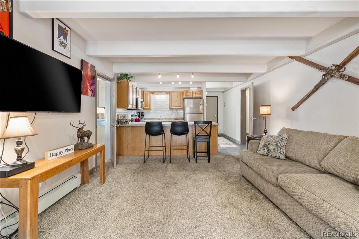 MLS Image #2 for 220 e la bonte street,dillon, Colorado