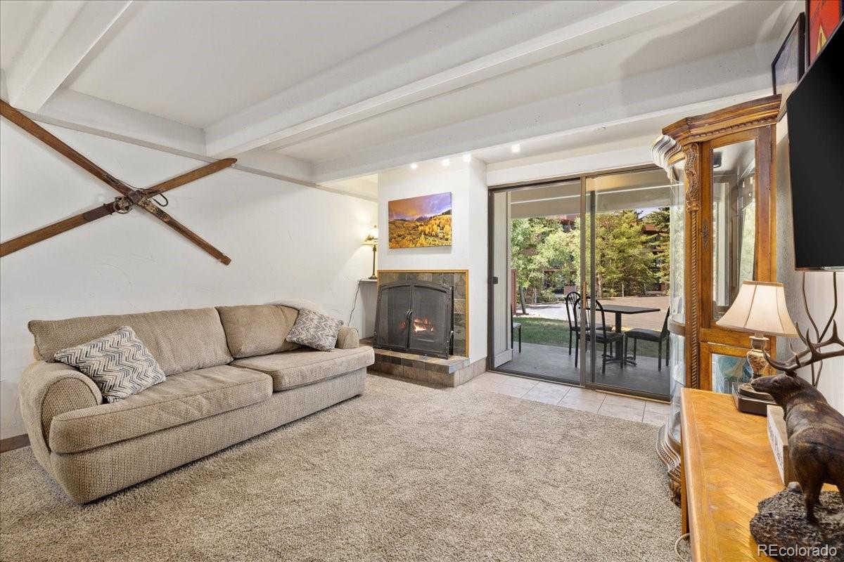 MLS Image #3 for 220 e la bonte street,dillon, Colorado