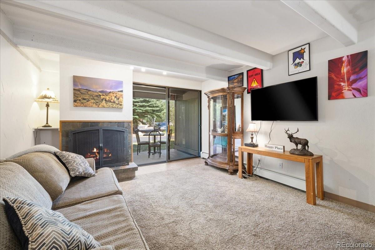 MLS Image #4 for 220 e la bonte street,dillon, Colorado