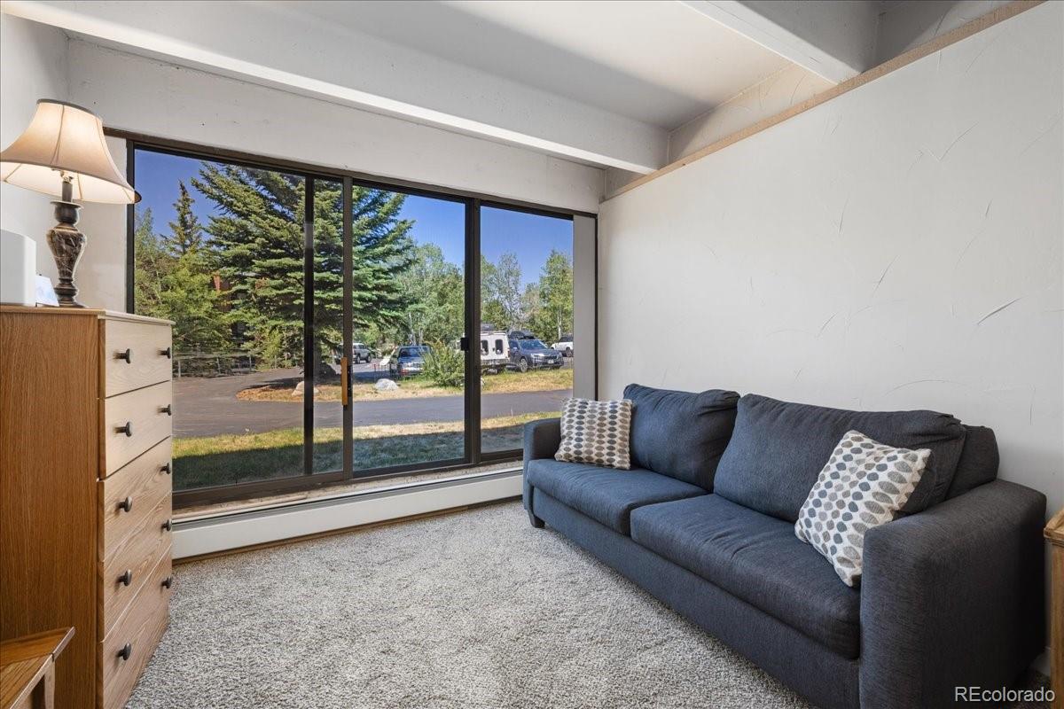 MLS Image #8 for 220 e la bonte street,dillon, Colorado