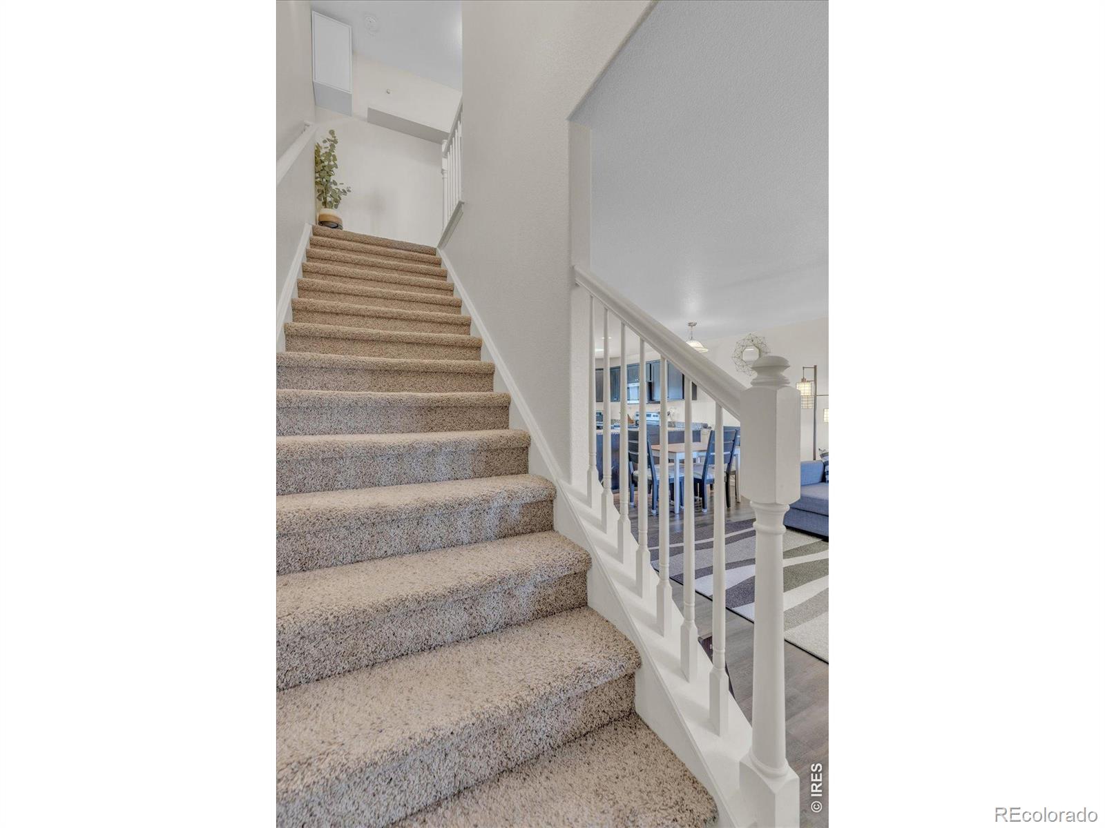 MLS Image #12 for 3660 w 25th street,greeley, Colorado