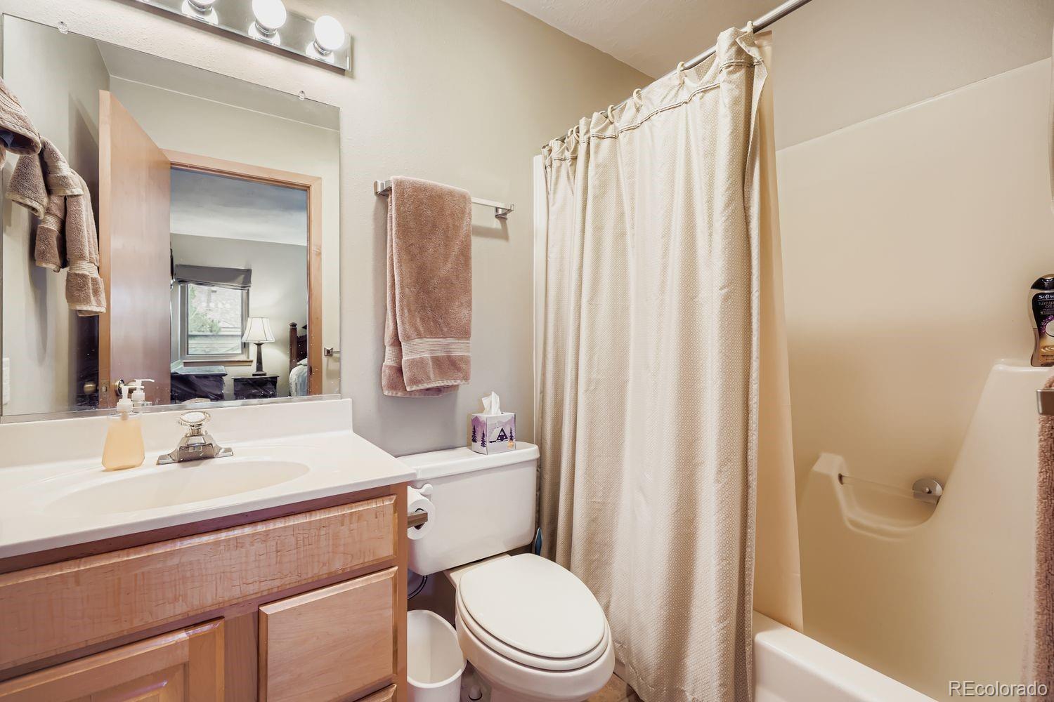 MLS Image #13 for 323  twenty grand drive,silverthorne, Colorado