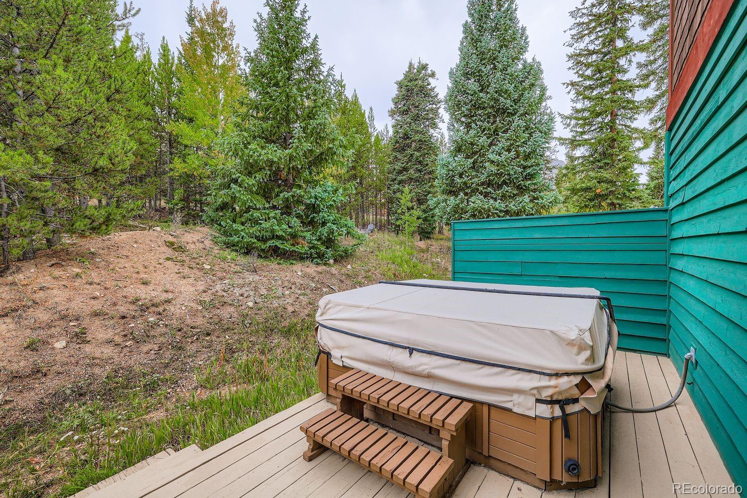 MLS Image #24 for 323  twenty grand drive,silverthorne, Colorado