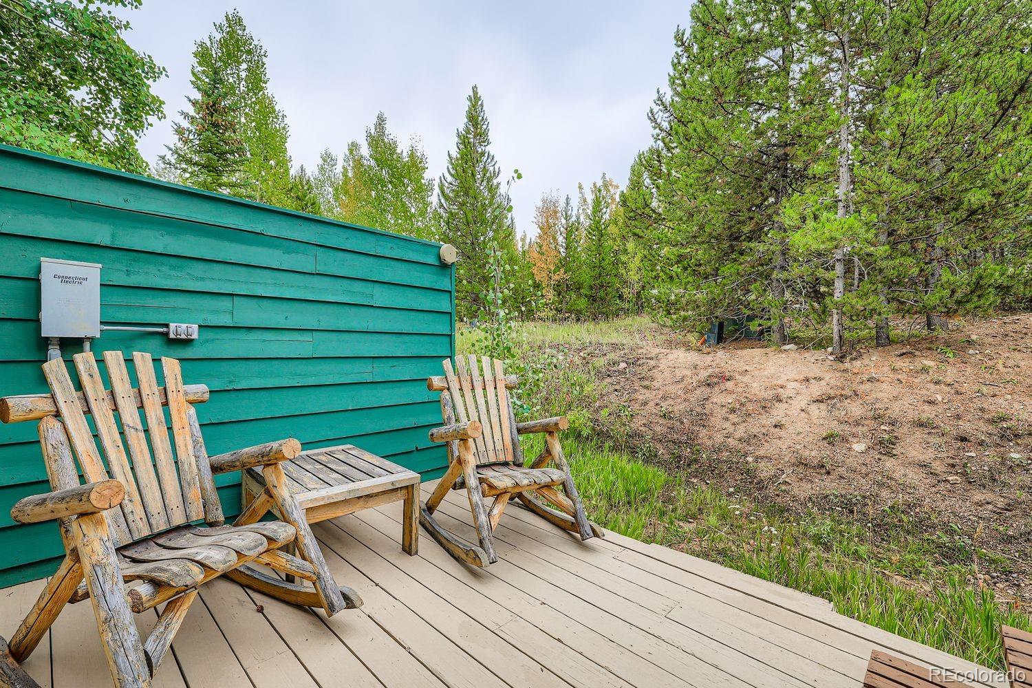 MLS Image #25 for 323  twenty grand drive,silverthorne, Colorado