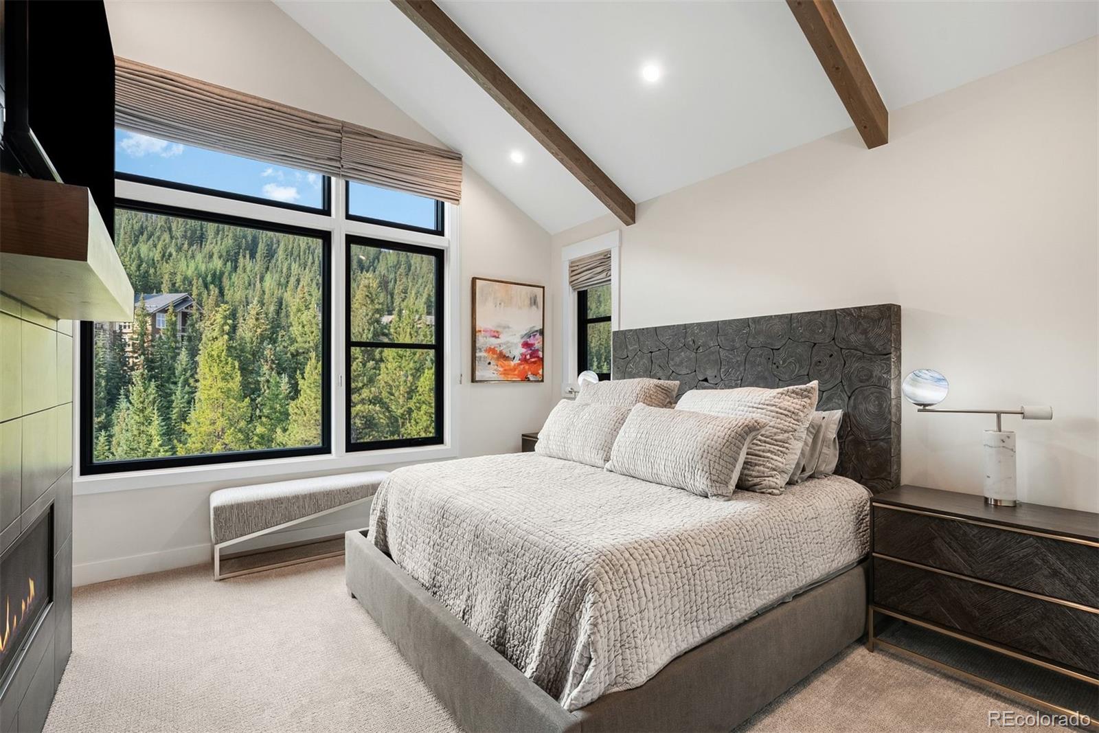 MLS Image #3 for 91  alcove court,keystone, Colorado