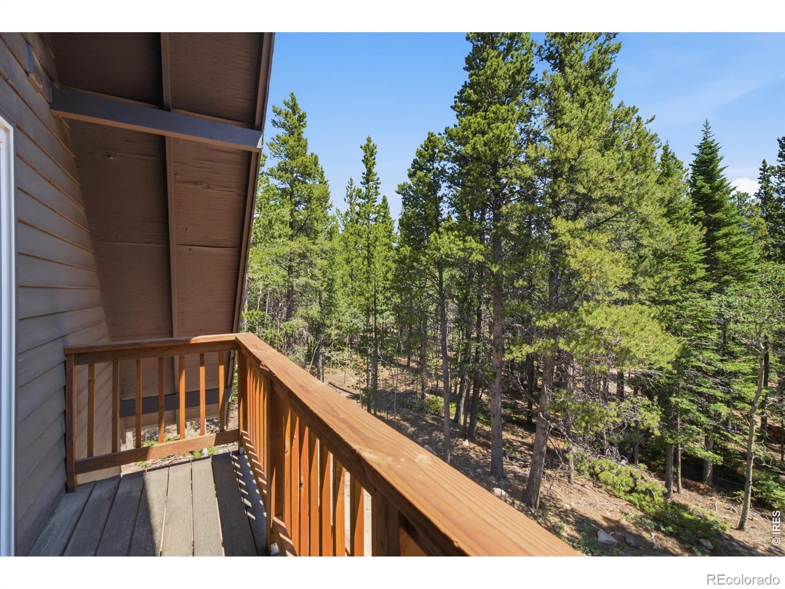 MLS Image #28 for 225  mills moraine drive,estes park, Colorado