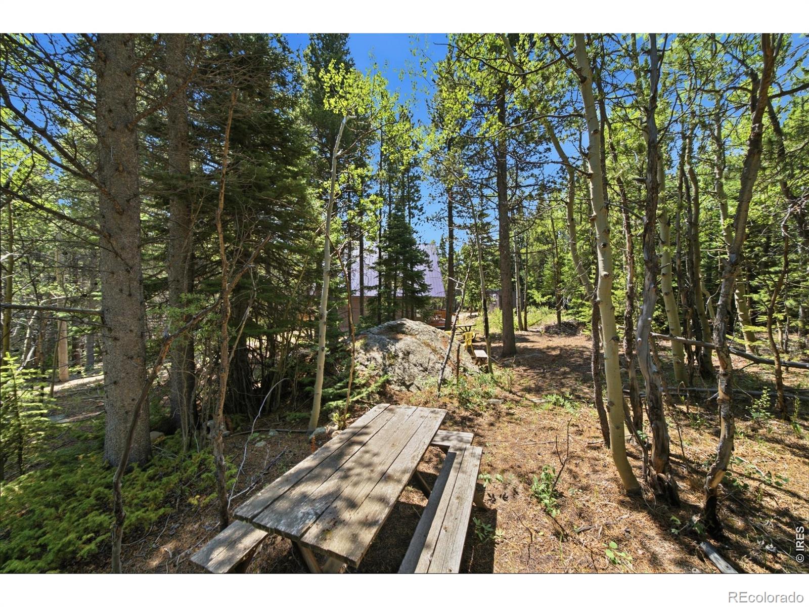MLS Image #33 for 225  mills moraine drive,estes park, Colorado