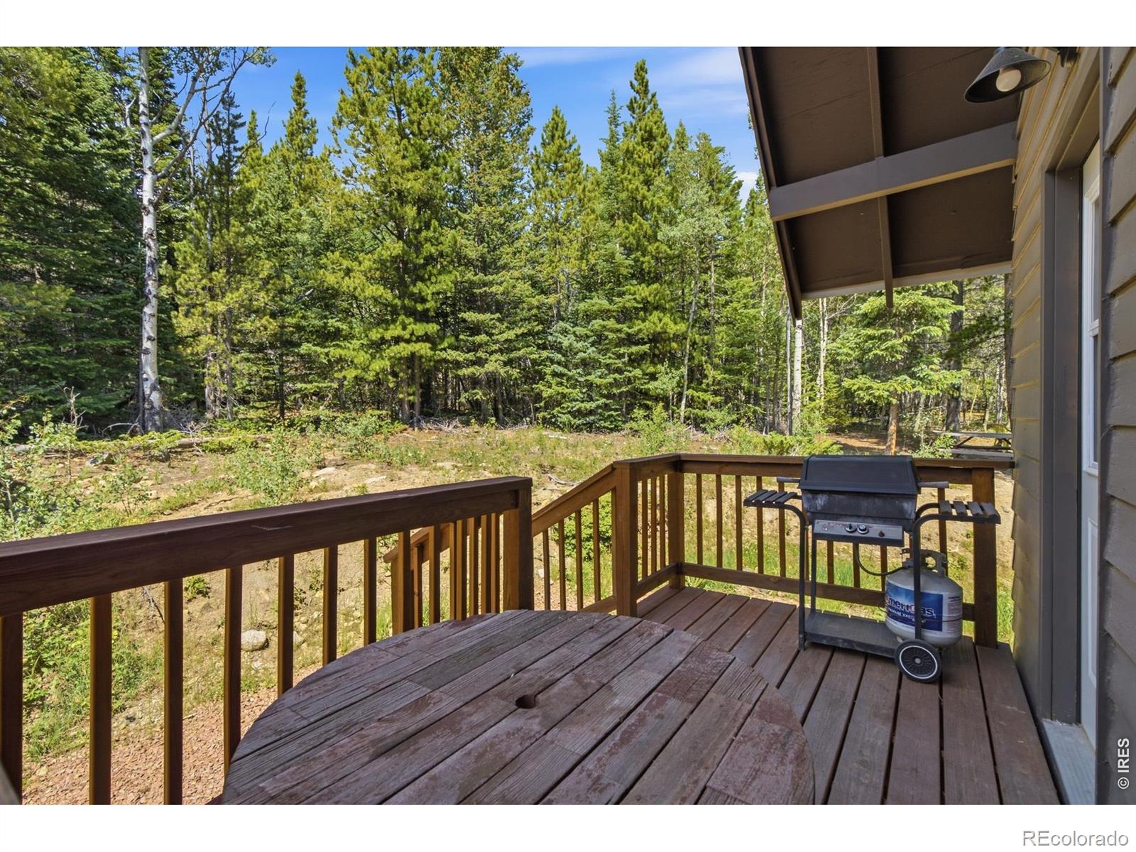 MLS Image #40 for 225  mills moraine drive,estes park, Colorado