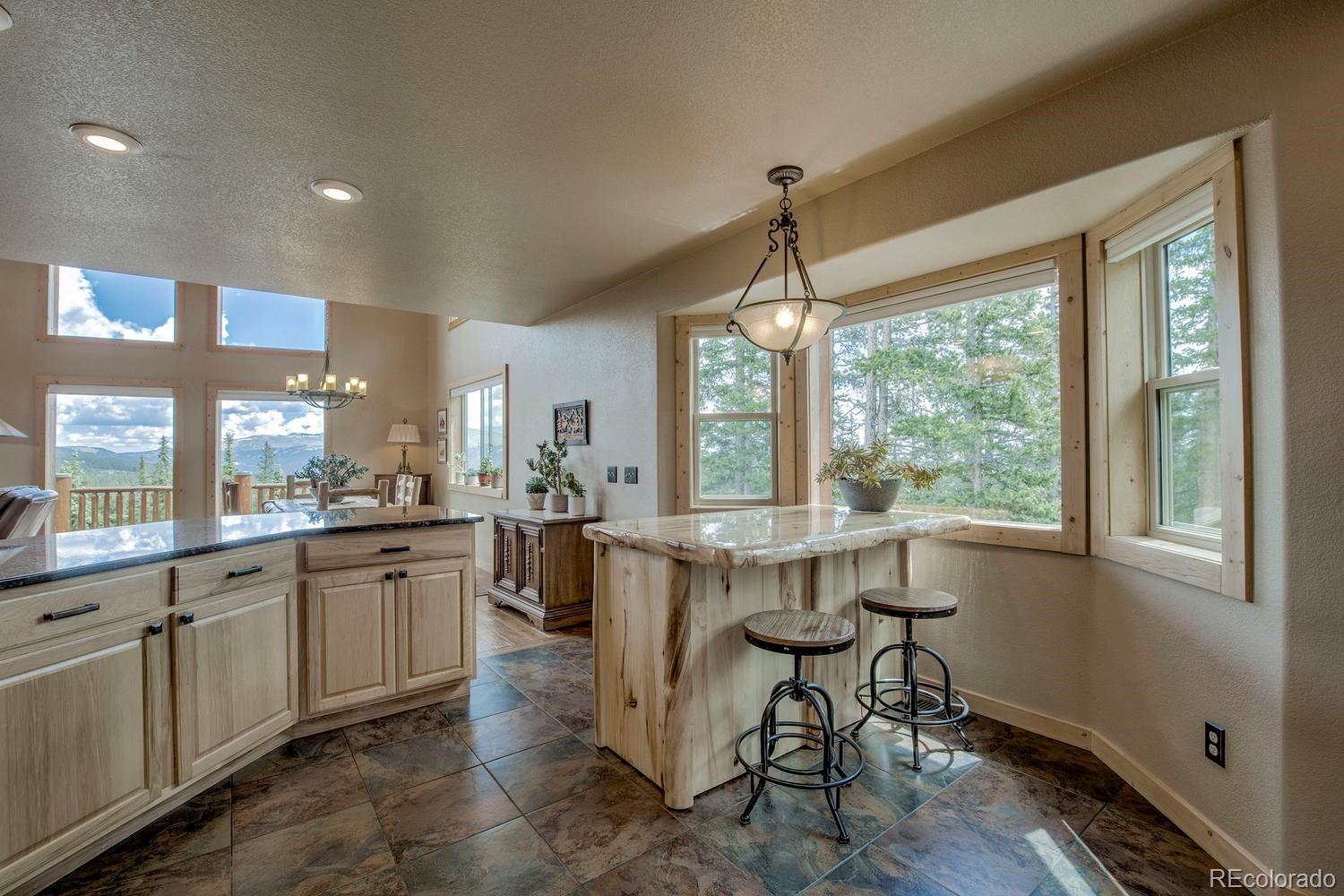 MLS Image #15 for 137  porcupine road,fairplay, Colorado