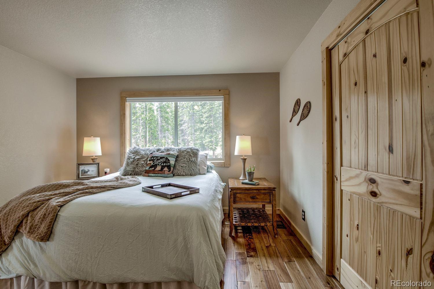 MLS Image #18 for 137  porcupine road,fairplay, Colorado