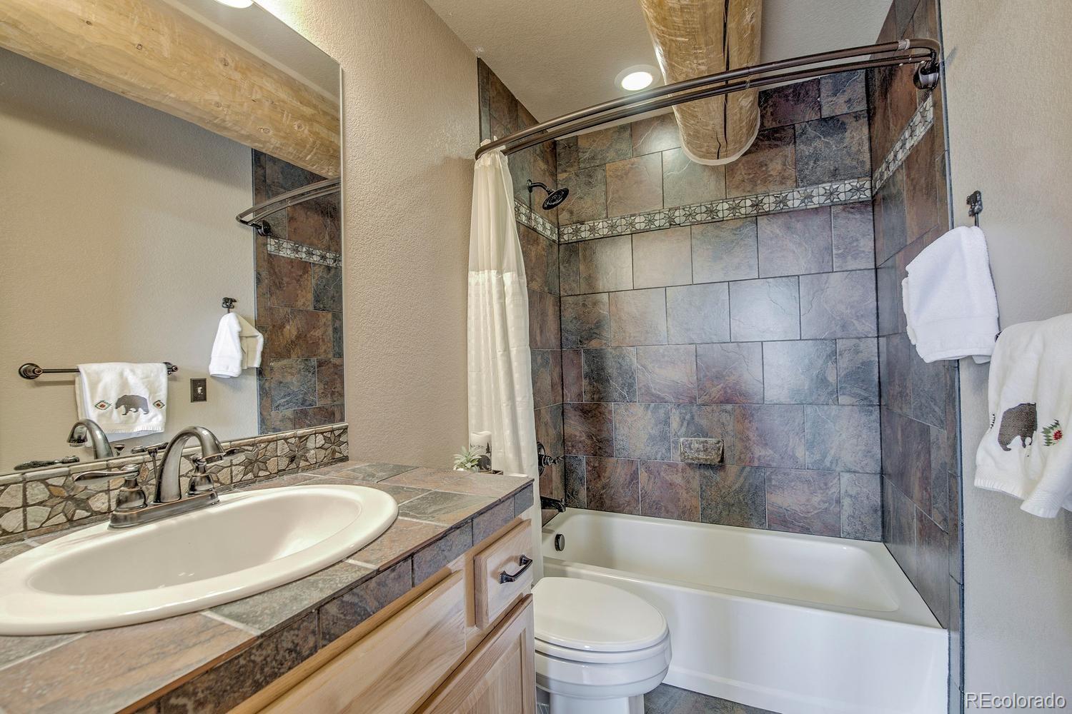 MLS Image #20 for 137  porcupine road,fairplay, Colorado