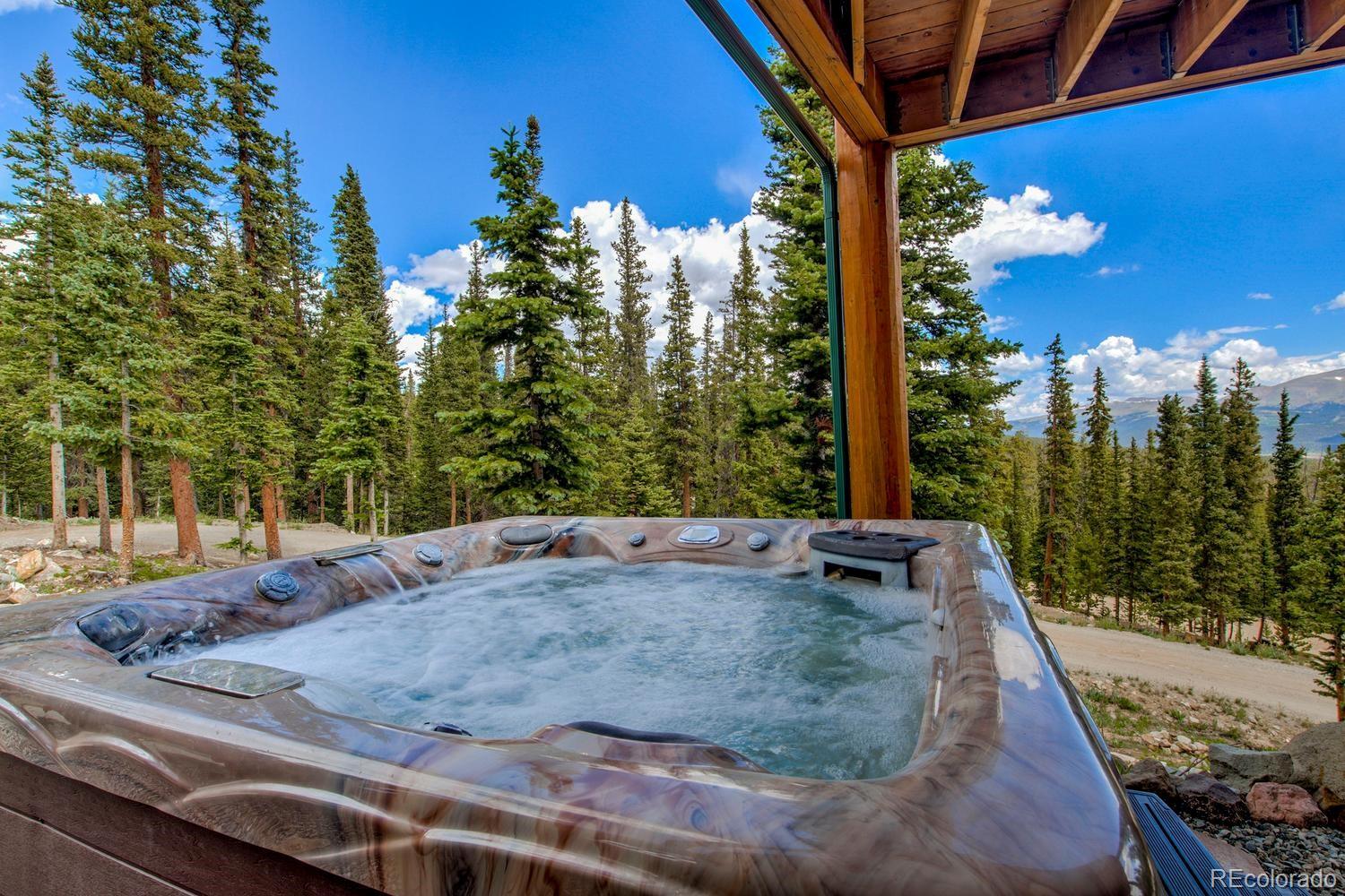 MLS Image #26 for 137  porcupine road,fairplay, Colorado