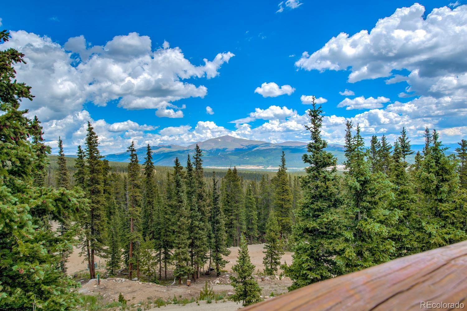 MLS Image #30 for 137  porcupine road,fairplay, Colorado