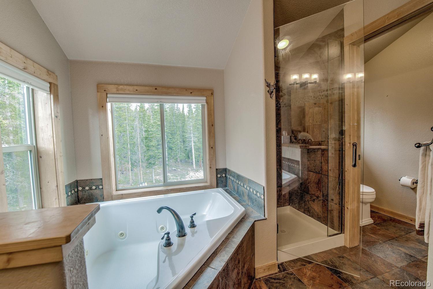 MLS Image #38 for 137  porcupine road,fairplay, Colorado