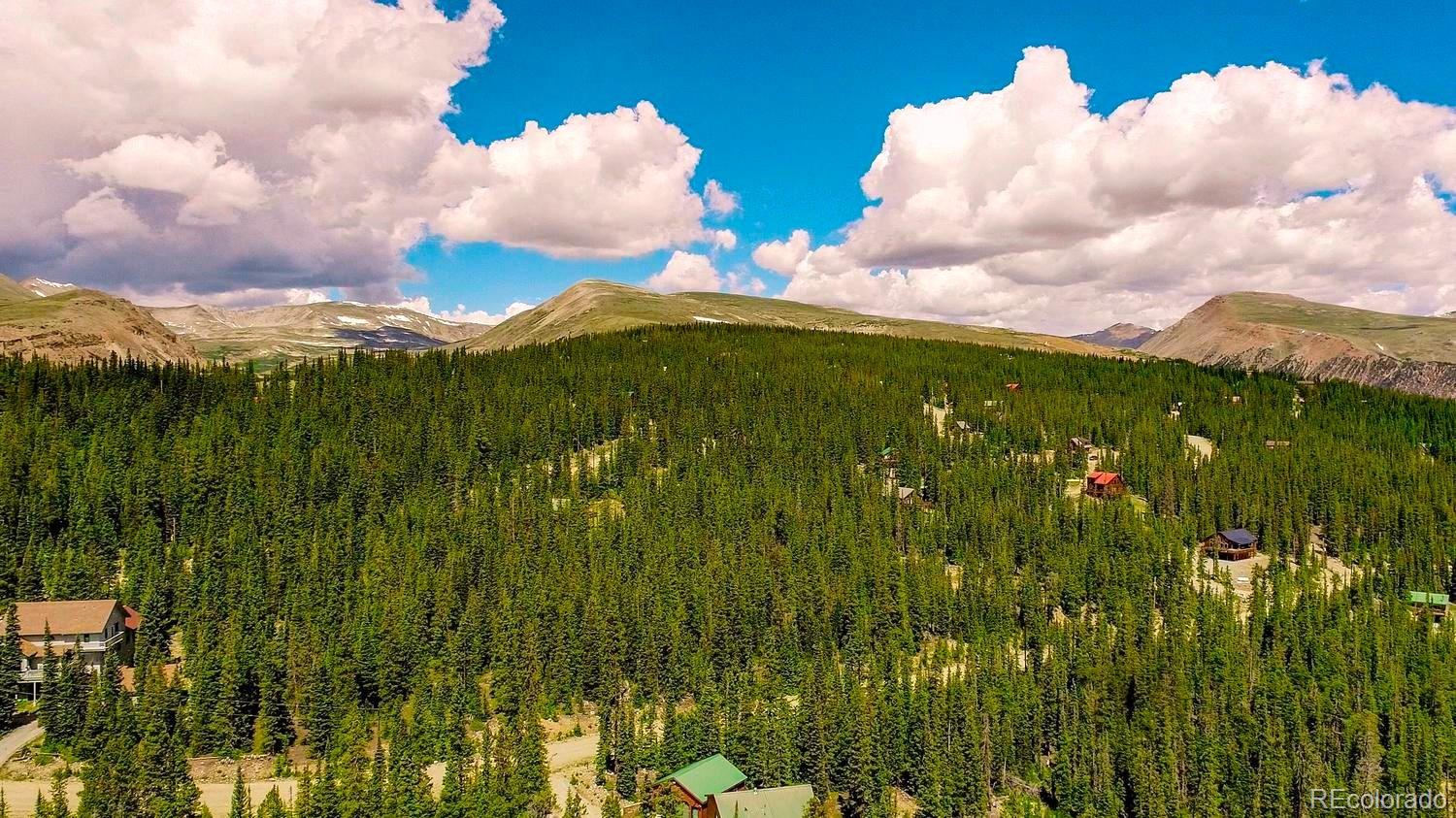 MLS Image #41 for 137  porcupine road,fairplay, Colorado